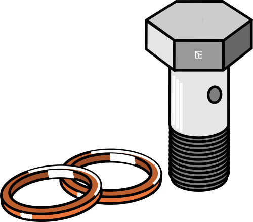 Bolt for pipe connection with seals