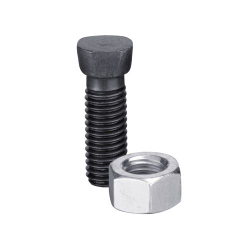 Maschio / Gaspardo Beitelbouten